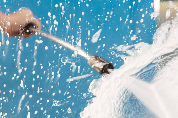 Best Roof Washing  in Richmond, IL