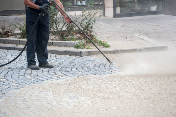 Best Boat and Dock Cleaning  in Richmond, IL