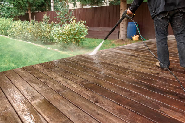 Best Fence Cleaning  in Richmond, IL