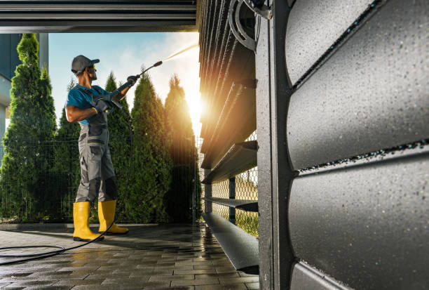 Best House Exterior Washing  in Richmond, IL